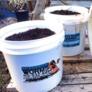 shadyside worms logo on buckets of compost